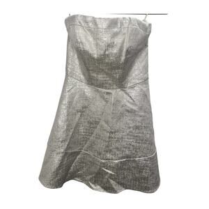 Express Silver Metallic Strapless Dress Size 4